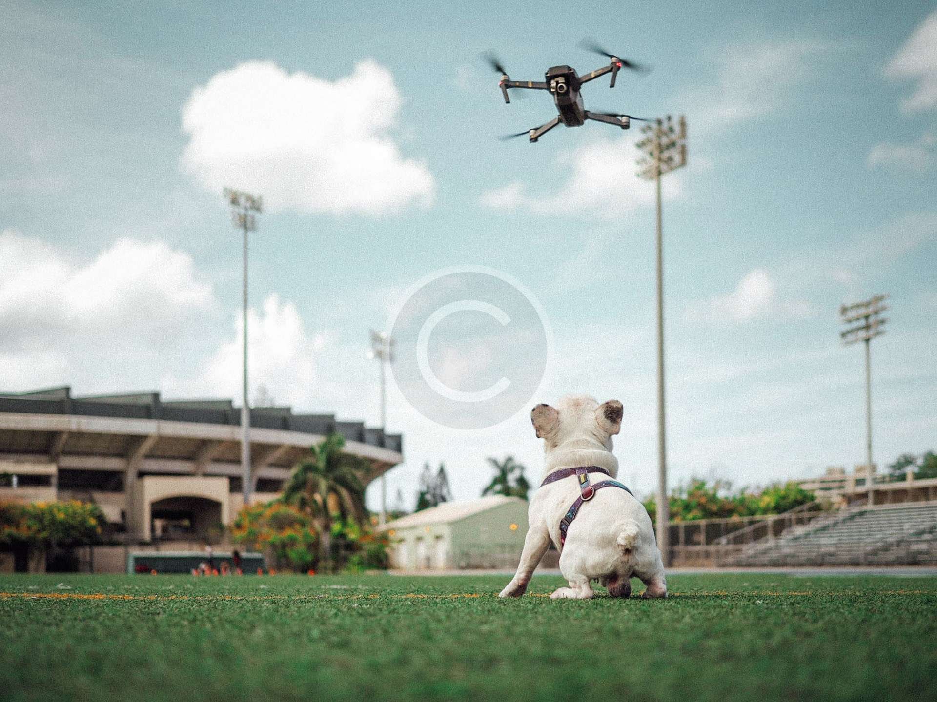 Transporting Blood and Other Supplies